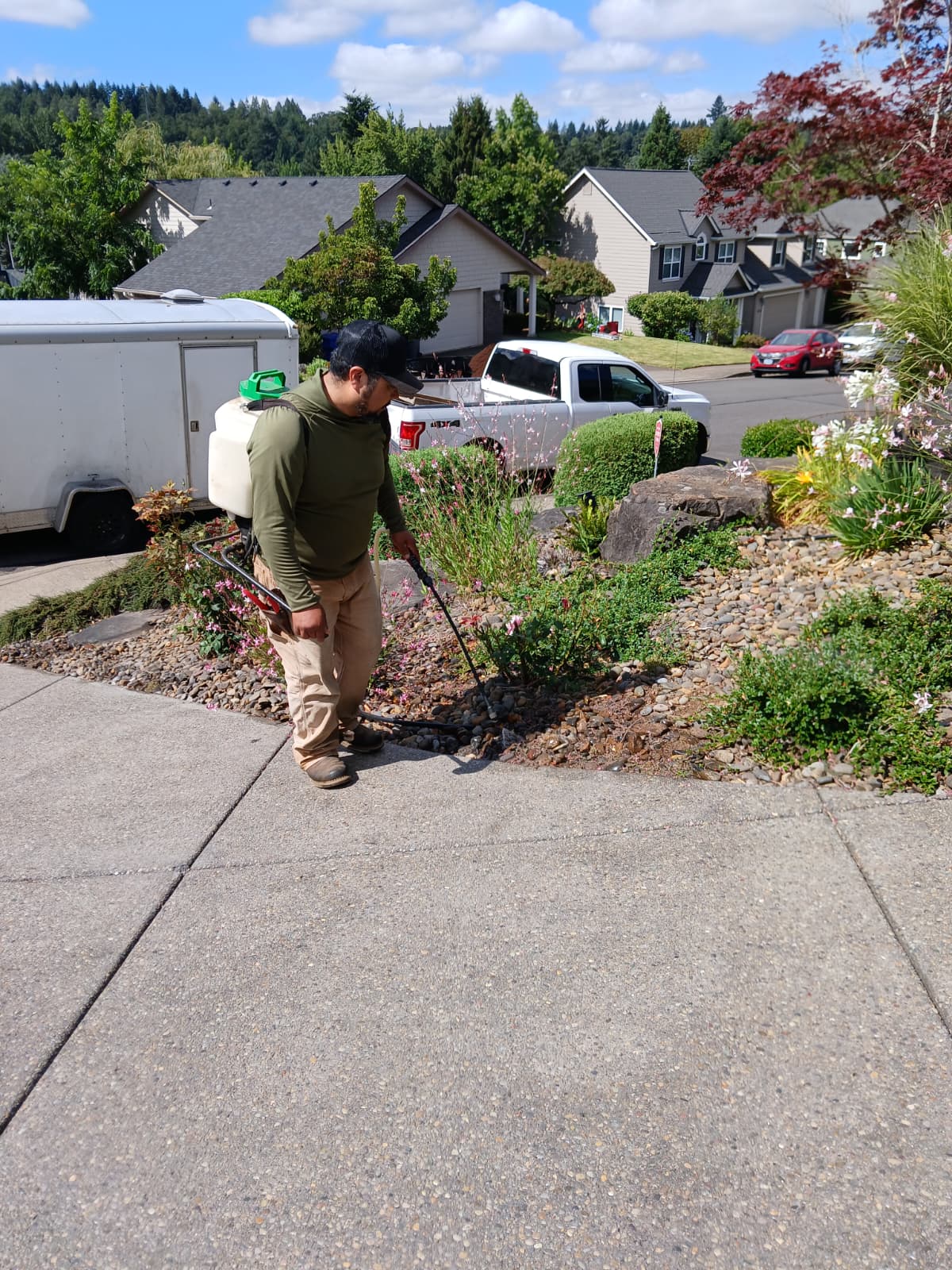 Complete Weed Removal & Control 