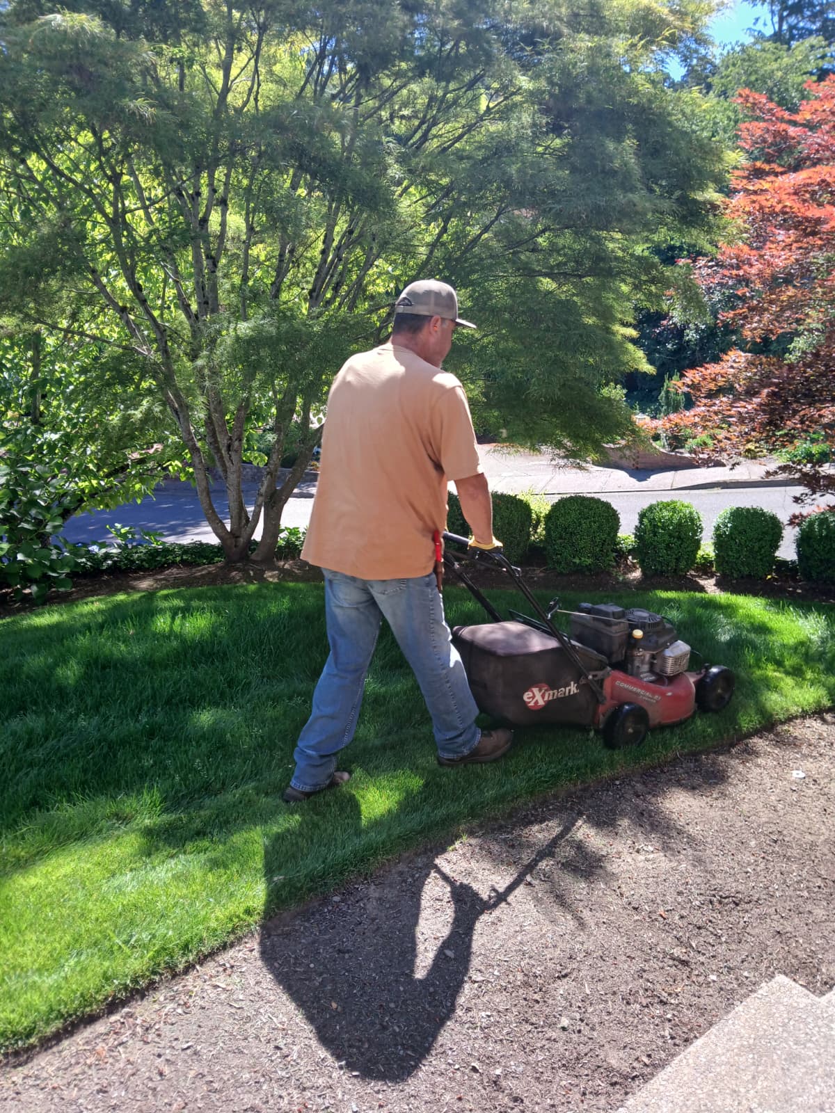 Elite Lawn Mowing & Maintenance